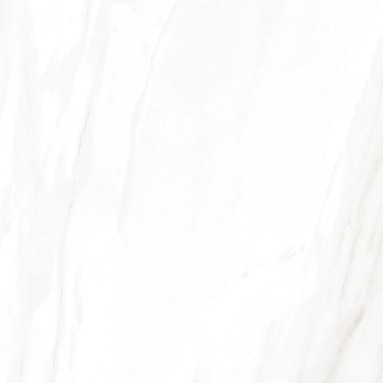 EC Calacatta Gold Polished 24 x 24